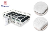 Автоматическая машина для окантовывания срезов прямоугольных изделий Richpeace Автоматическая машина для окантовывания срезов прямоугольных изделий Richpeace